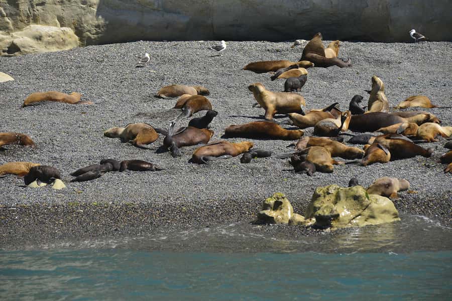 Punta Loma Shore Excursion with City tour - Key Points