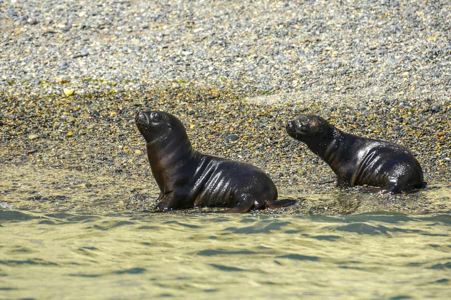 Punta Loma Shore Excursion with City tour - Final Thoughts