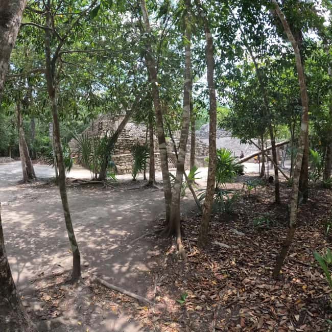 Deluxe Tulum, Coba & 5th Avenue from Cancun - The Lunch Break