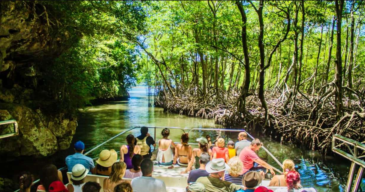 Samana: Los Haitises National Park & Cayo Levantado Tour - An In-Depth Look at the Tour Experience