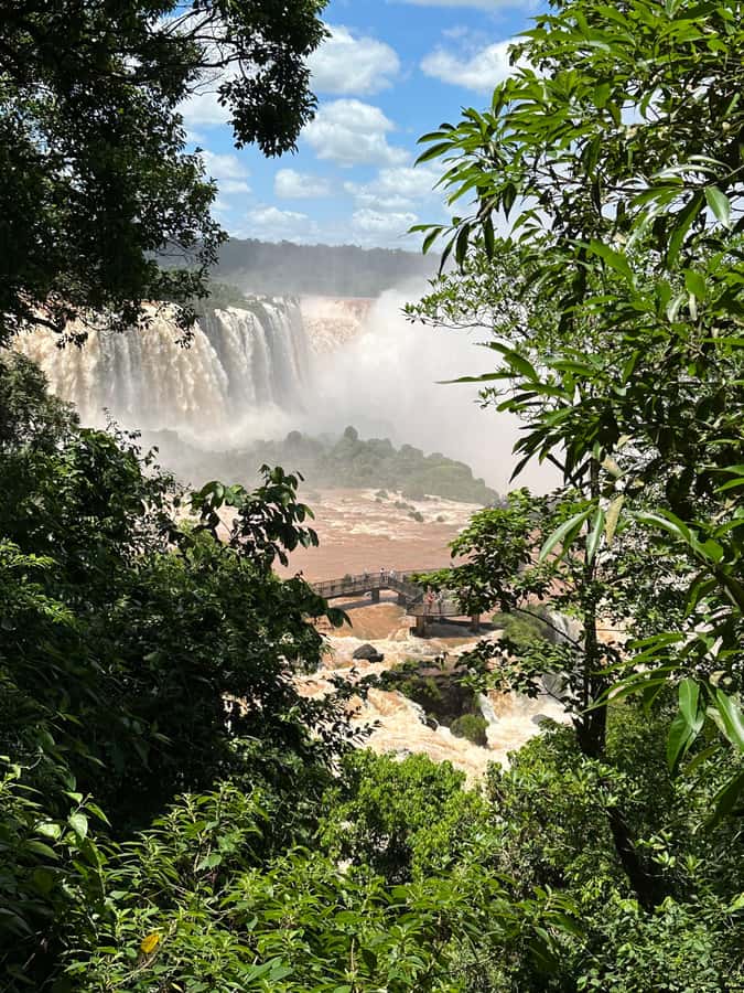 from Foz do Iguaçu: Private Tour on Argentinean Falls - An In-Depth Look at the Experience
