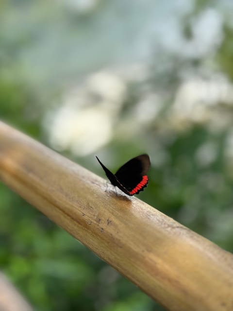 from Foz do Iguaçu: Private Tour on Argentinean Falls - Who Will Love This Tour?