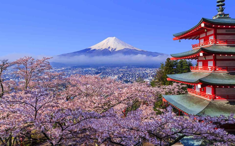 Tokyo: Mt. Fuji & Hakone Cherry Blossoms Private Day Tour - What Travelers Say: Real Insights from Reviews