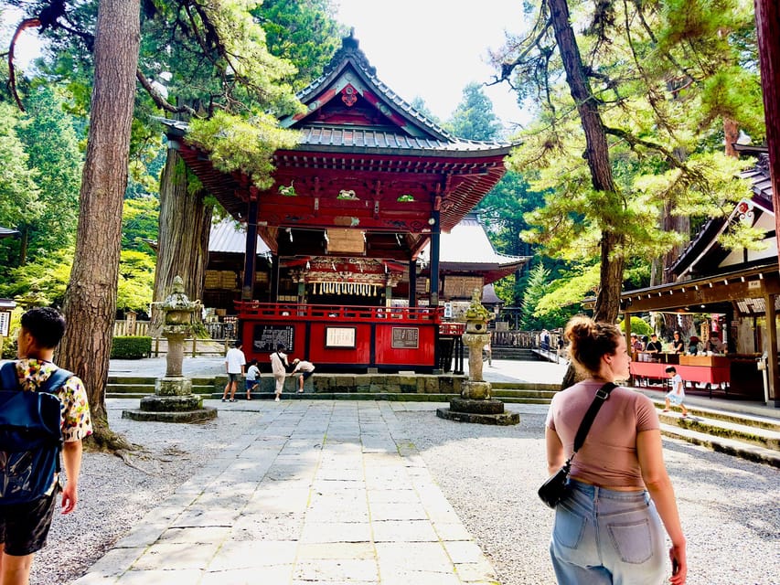 Tokyo: Mt. Fuji & Hakone Cherry Blossoms Private Day Tour - Transportation, Timing, and Practicalities