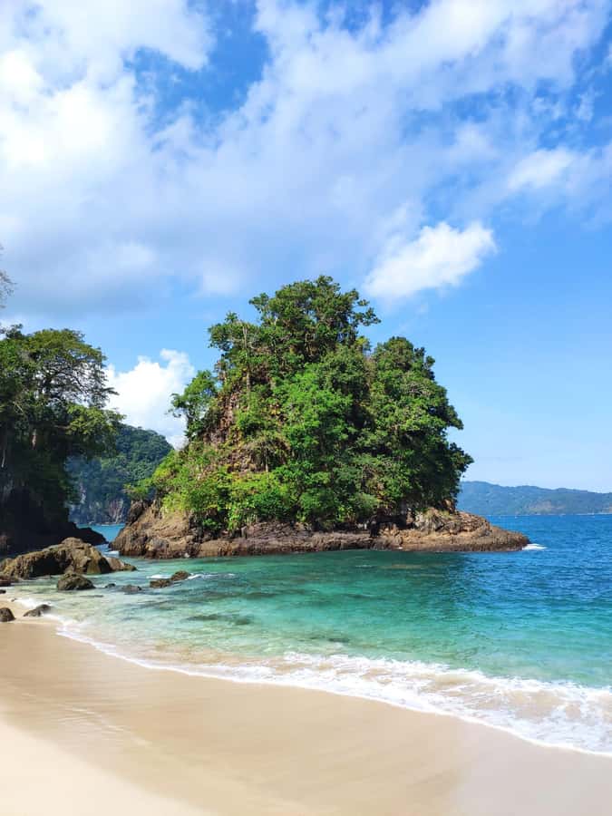 Sukamade Turtle Beach Adventure  Into East Java - The Journey into East Java: What to Expect