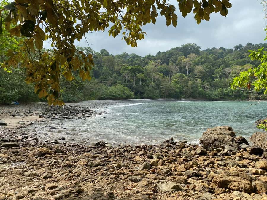 Sukamade Turtle Beach Adventure  Into East Java - The Sum Up