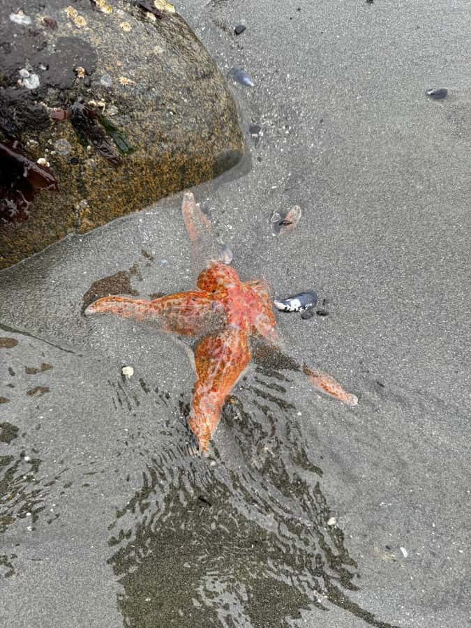 Ketchikan: Private Tours suitable for all ages! - Who Will Love This Tour?