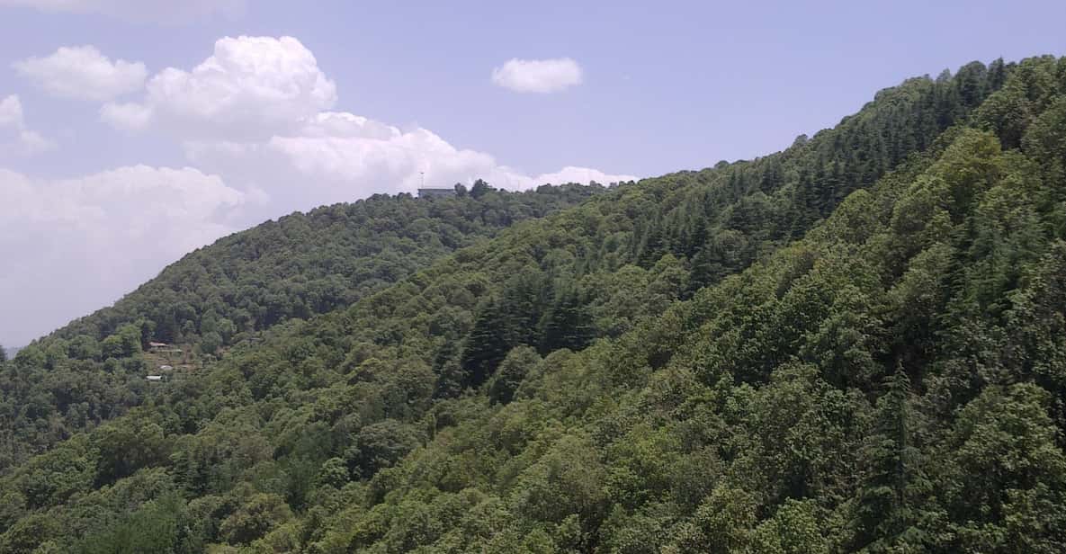 Shimla: Hiking Tour to Taradevi Hill with Local Driver Guide - Final Word