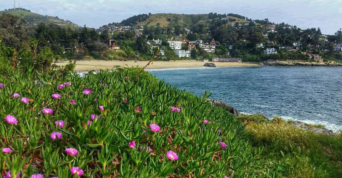 Santiago: Zapallar Beach Private Day Trip - Final Thoughts