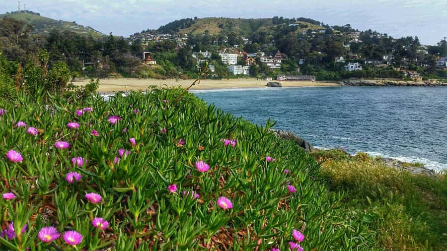 Santiago: Zapallar Beach Private Day Trip - Exploring Zapallar: A Coastal Gem