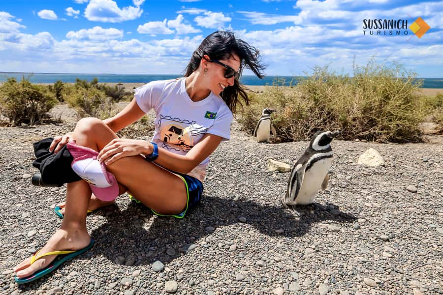 Punta Tombo Shore Excursion for Cruise Passengers Lunch+City - The Sum Up