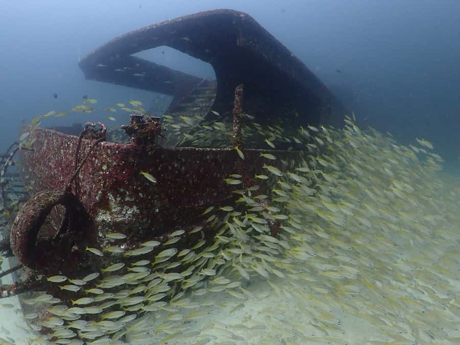 3 Fun Dives for Certified diver at Racha Yai/Noi - Why Choose This Tour? Key Benefits