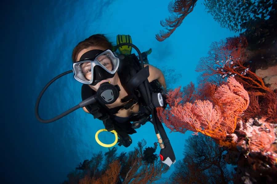 3 Fun Dives for Certified diver at Racha Yai/Noi - In-Depth Look at the Itinerary