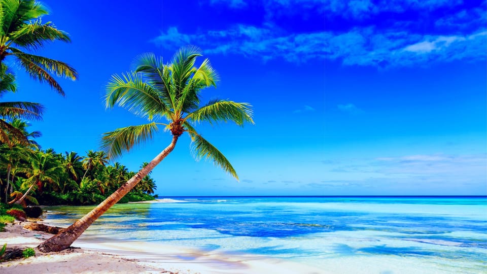 Punta Cana: Samaná Day Tour with Horse Ride and Cruise - FAQs