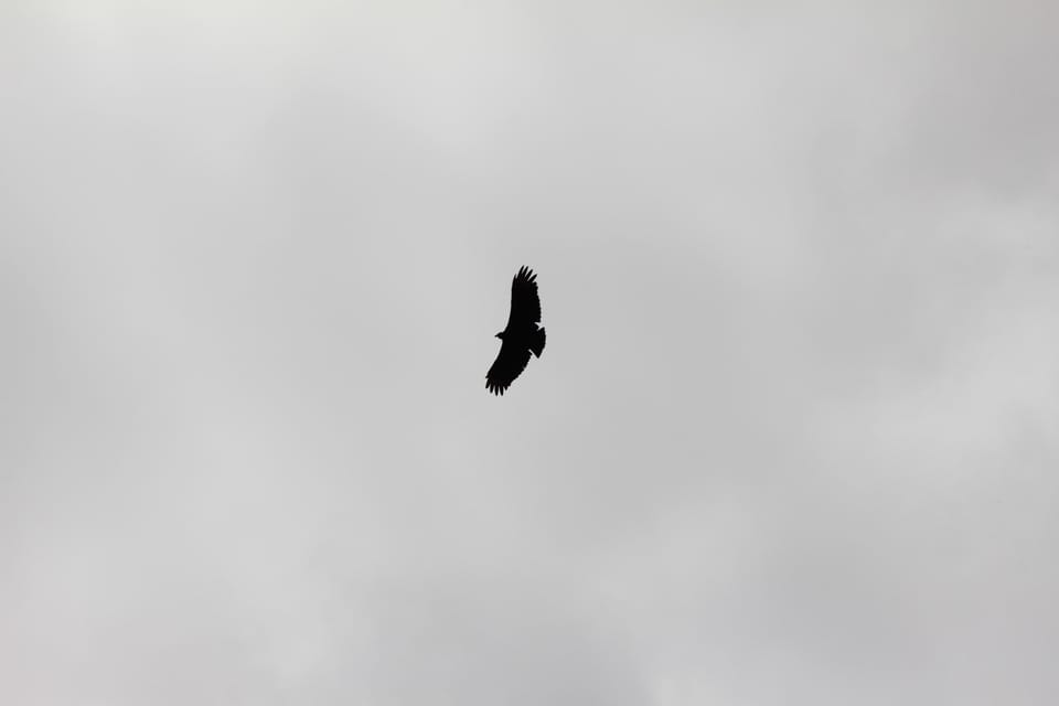 From Popayán: Day Trip to Puracé National Park - Who Would Love This Tour?