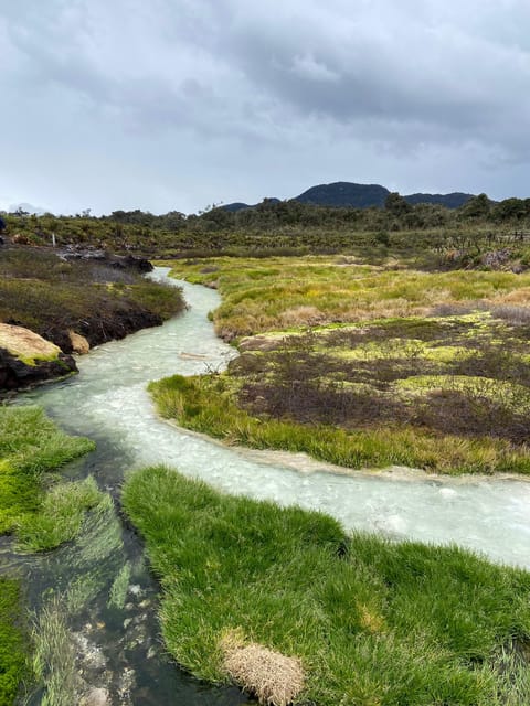 From Popayán: Day Trip to Puracé National Park - Key Points