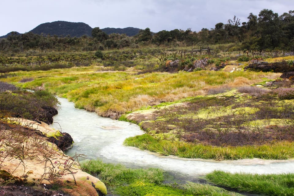 From Popayán: Day Trip to Puracé National Park - The Detailed Breakdown