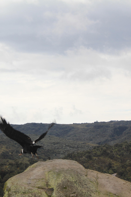 From Popayán: Day Trip to Puracé National Park - Pricing and Value
