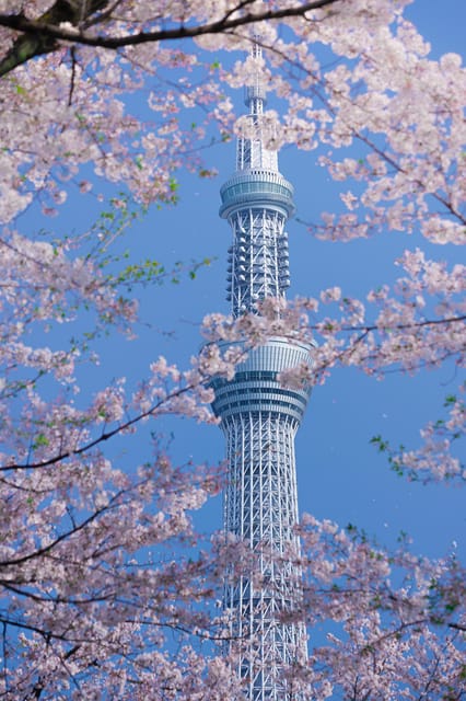 Tokyo private tour by car with pick up - Why Choose a Private Tokyo Tour by Car?