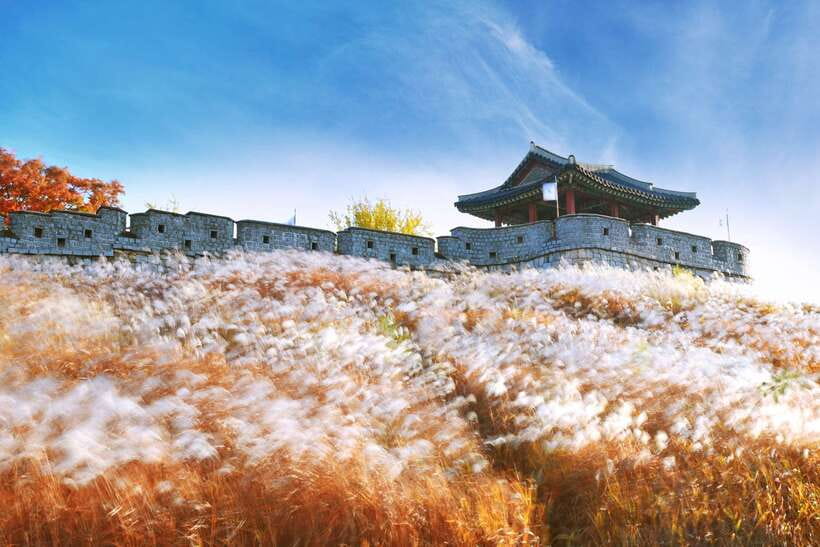 From Seoul: UNESCO Suwon Hwaseong Fortress Tour - The Itinerary in Detail: What Makes This Tour Stand Out
