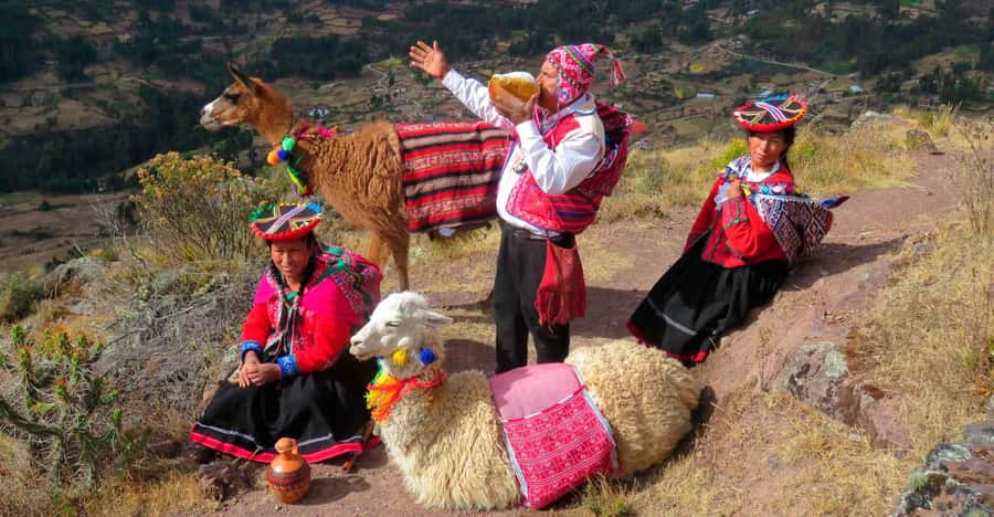 Cusco : Alpaca therapy + Creative handicrafts |Private| - Key Points