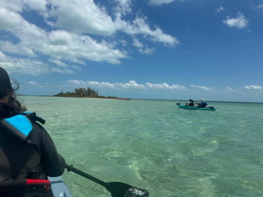 Nassau: Snorkeling and Kayaking Adventure Transport Included - Who Will Love This Tour?