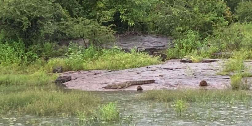 From Kandy: Sigiriya Lion Rock fortress and Village Trip - A Deep Dive into the Experience