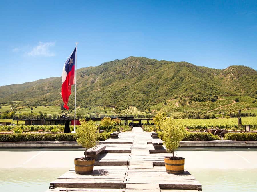 From Santiago: Colchagua Valley Wine Route Day Tour - Exploring the Heart of Chile’s Wine Country