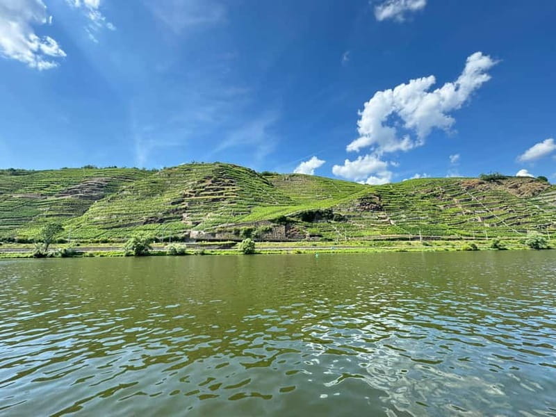 Koblenz: Private boat tour on the Moselle + wine experience - The Practicalities: What You Need to Know