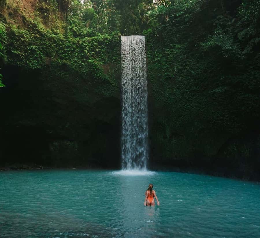 Ubud: Waterfall, Holy Water Temple,Swing&coffee plantation - FAQ