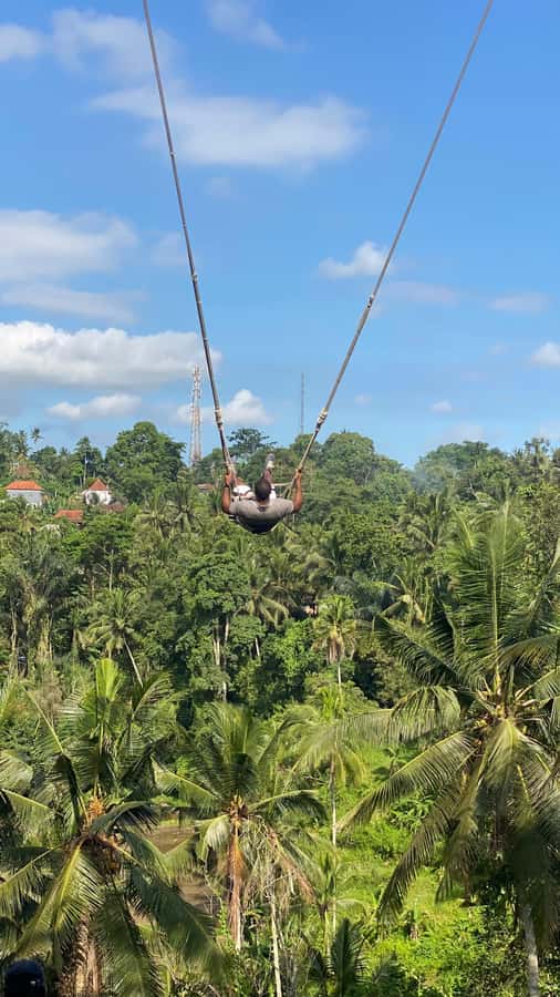 Bali: Ubud Swing Experience with Jungle View - The Sum Up