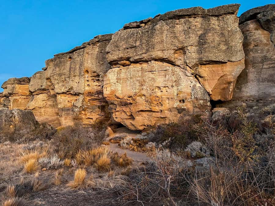 Lakes and Caves Tour with Dinner - Lakes and Caves Tour with Dinner: A Deep Dive into Patagonia’s Natural and Cultural Wonders