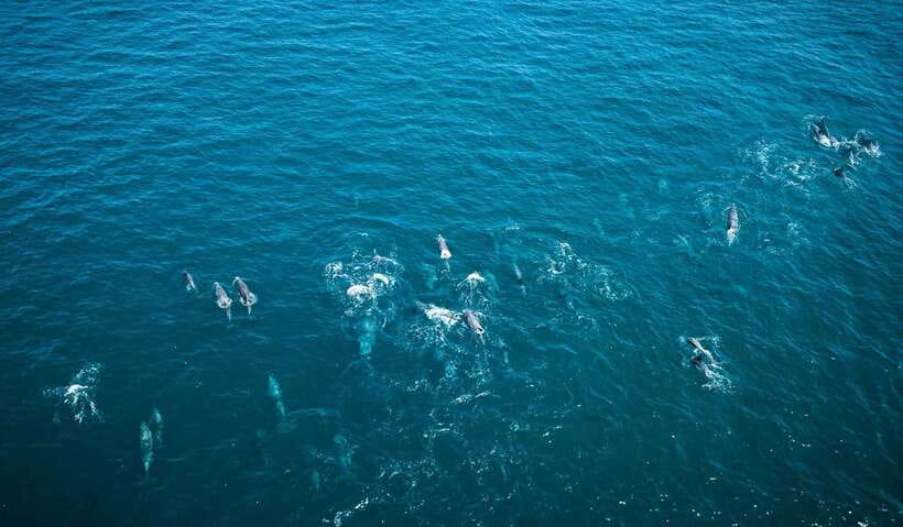 K-Drama Spot: Jeju Western Tour with Hotel Pickup - A Deep Dive into the Jeju Western Tour Experience