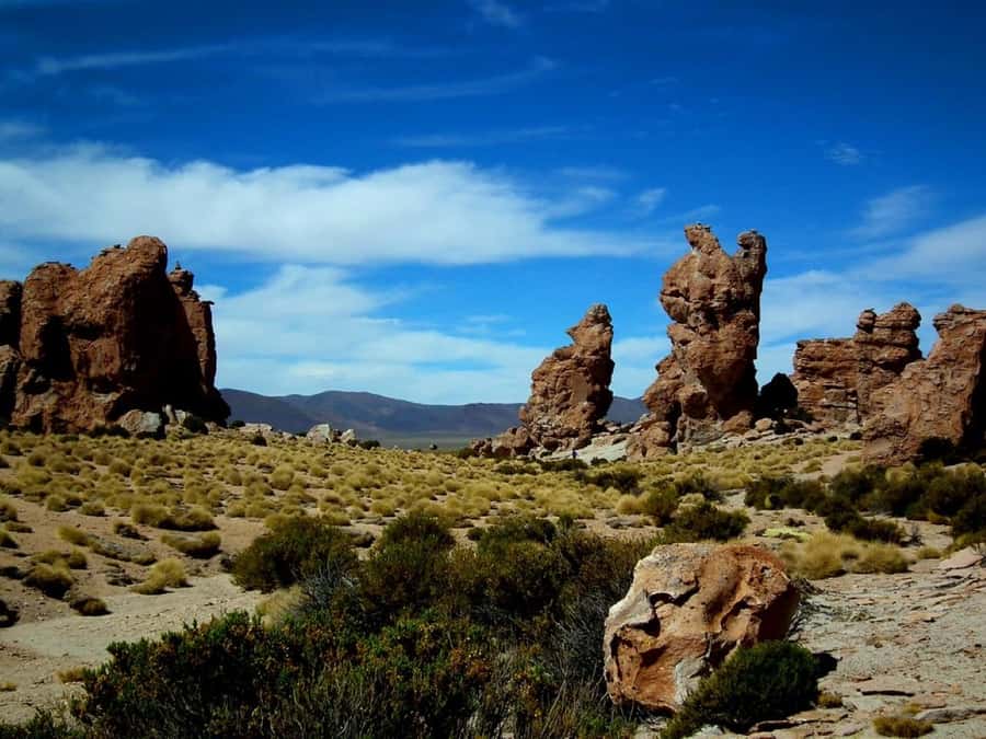 Uyuni Salt Flat 3 days | Uyuni - Uyuni - FAQ