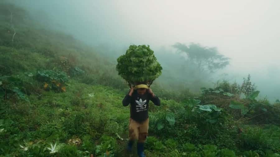 Cebu: Osmeña Peak and Kawasan Canyoneering Day Tour - The Sum Up