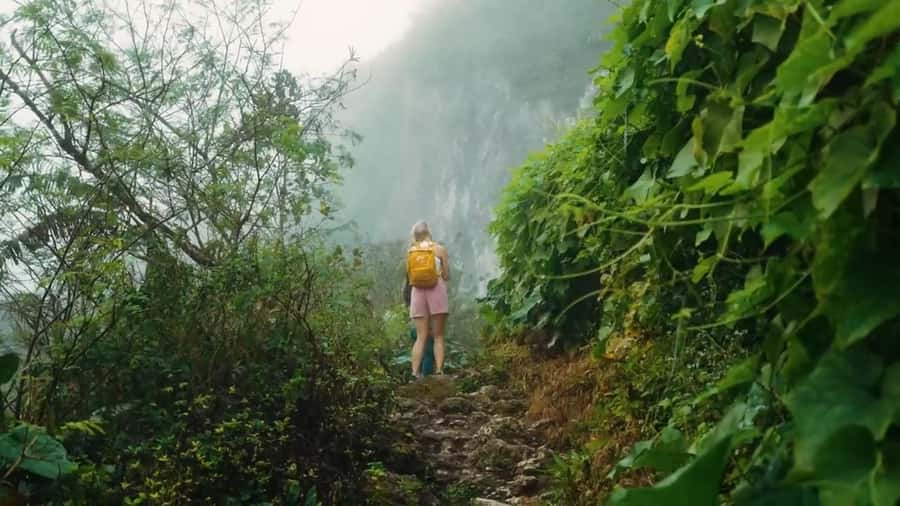 Cebu: Osmeña Peak and Kawasan Canyoneering Day Tour - Price and Value