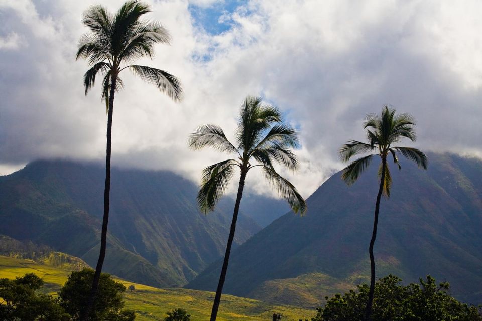 From Oahu: Best of Maui/Haleakala - Sips, Sites & Bites - Exploring Iao Valley: Natural and Sacred Beauty