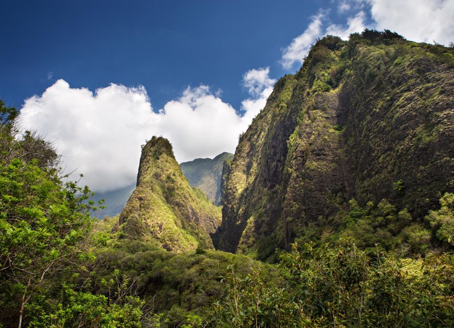 From Oahu: Best of Maui/Haleakala - Sips, Sites & Bites - Who Will Love This Tour?