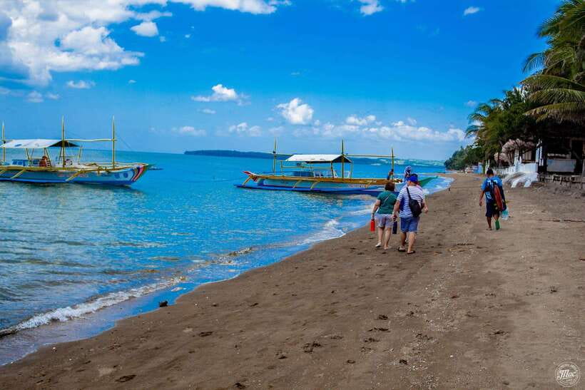 Whale Shark Interaction at Donsol Sorsogon by ZCHEDULISTA - Setting the Scene: What This Tour Offers