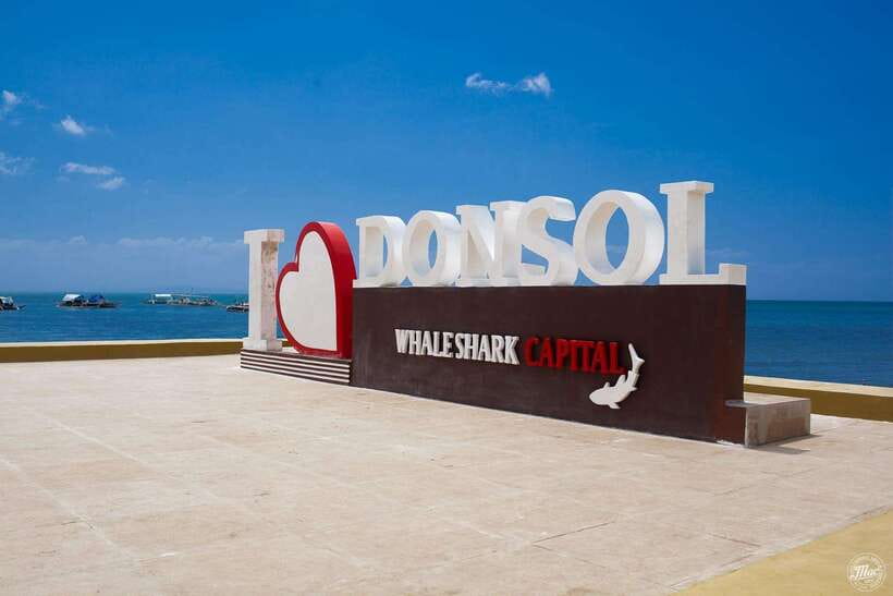 Whale Shark Interaction at Donsol Sorsogon by ZCHEDULISTA - Detailed Breakdown of the Itinerary