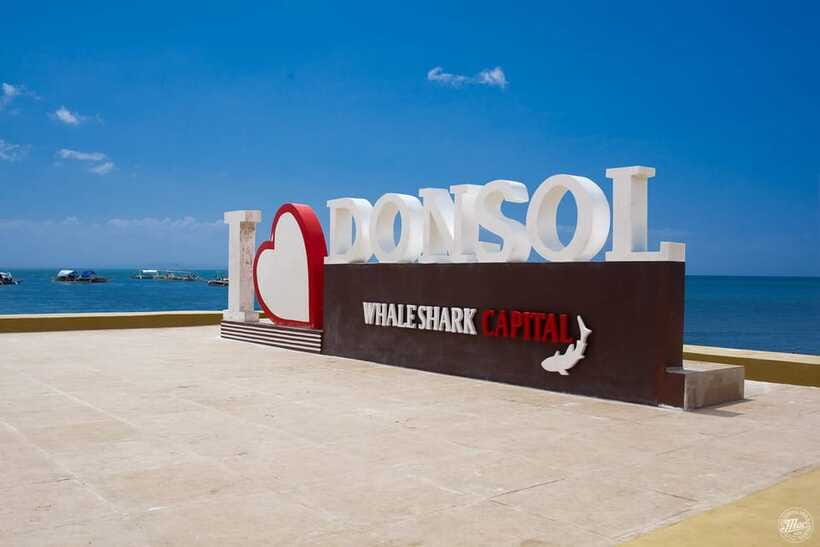 Whale Shark Interaction at Donsol Sorsogon by ZCHEDULISTA - FAQ