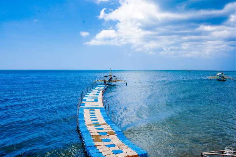 Whale Shark Interaction at Donsol Sorsogon by ZCHEDULISTA - Who Is This Tour Best Suited For?
