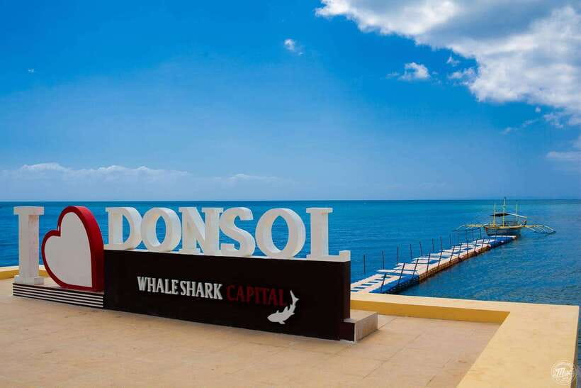 Whale Shark Interaction at Donsol Sorsogon by ZCHEDULISTA - What’s Included & What to Consider