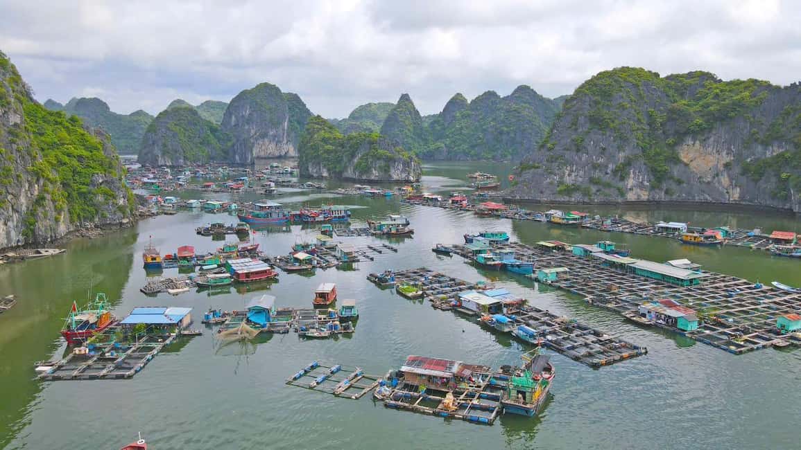 Cat Ba/Ha Noi: Lan Ha and Monkey Island Full Day Boat Trip - Final Thoughts