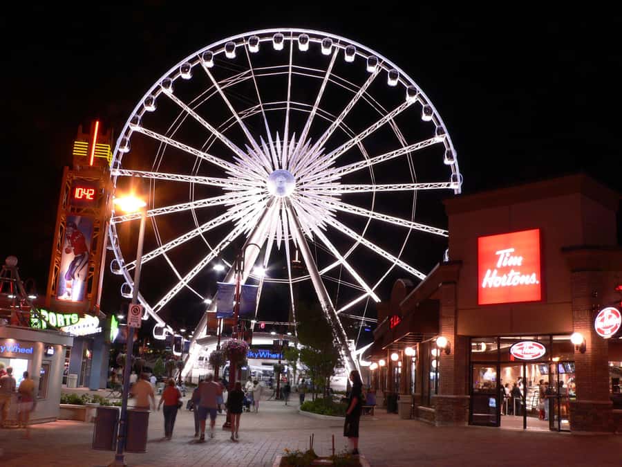 Toronto: Niagara Falls Tour with Boat Ride, Dinner, & Lights - The Nighttime Spectacle: Falls Illuminated & Fireworks