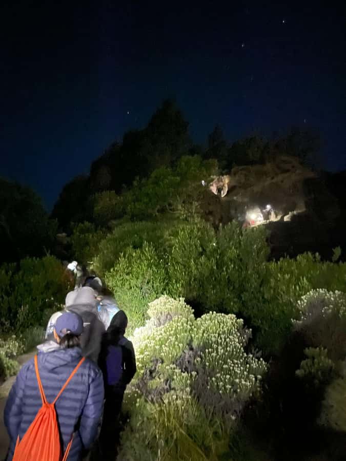 Mount Rinjani Trekking 3D/2N To Summit,Lake & Hot Spring - The Experience from Real Travelers