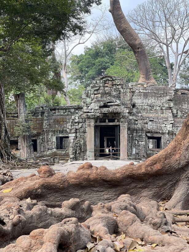 Angkor Wat Sunrise & Tonle Sap Lake Floating Village Tour - Key Points