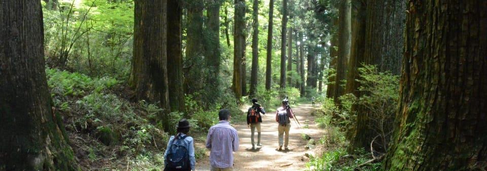 Hakone Geology & History Tour - Who Will Love This Tour?