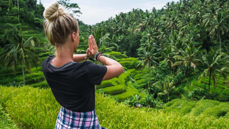 Ubud: Waterfall, Water Temple and Monkey forest Private Tour - A Closer Look at the Ubud Private Tour