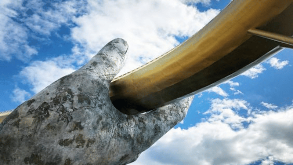 Hoi An: 3 Options for Ba Na Hills & Golden Bridge Day Trip - Practical Details and Tips